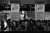 Ukulele Festival